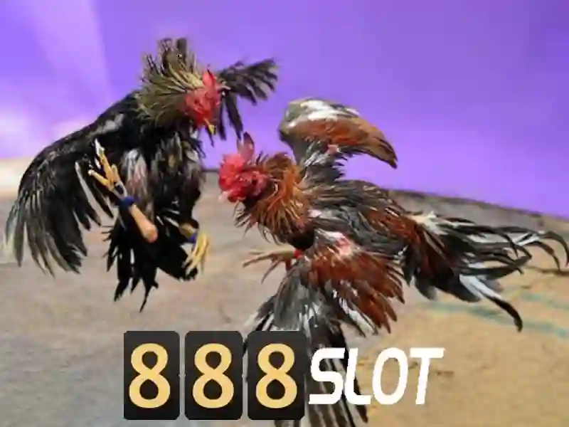 Kỹ thuật chơi slot