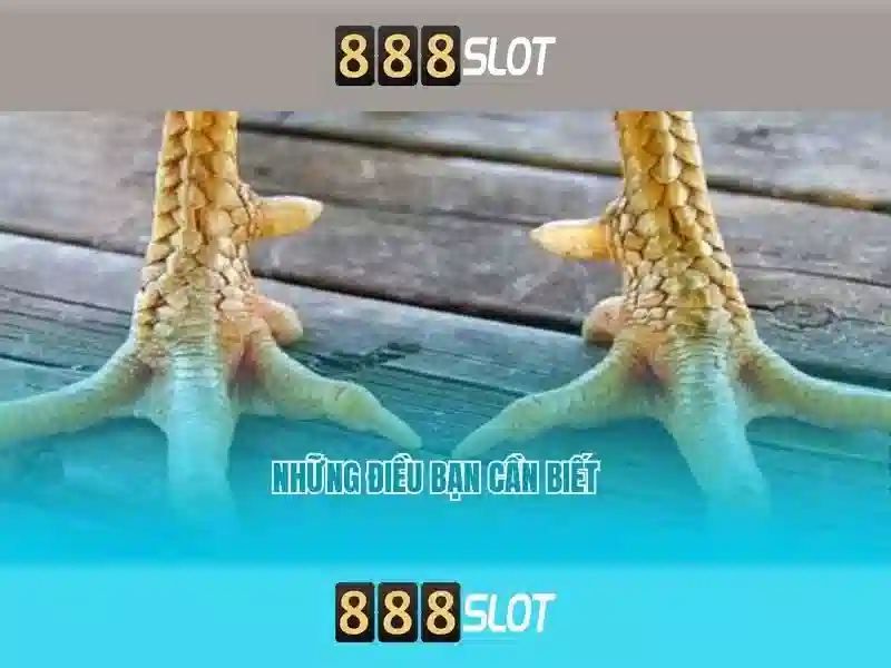 Trải Nghiệm Slot Đỉnh Cao