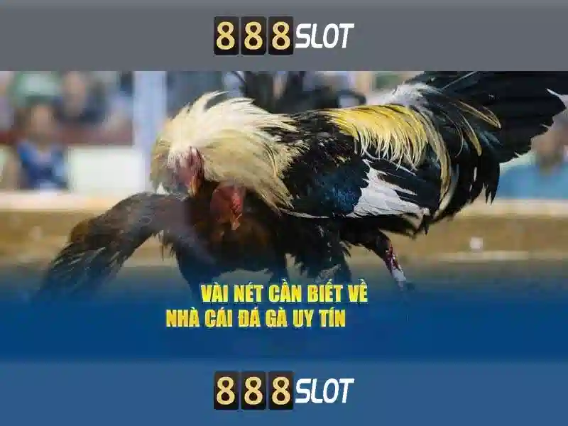 Hướng Dẫn Đăng Nhập 888SLOT Dễ Dàng