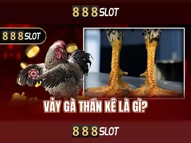 888SLOT – Code 888slot Mới Nhất 2026 | Trải Nghiệm Slot Đỉnh Cao
