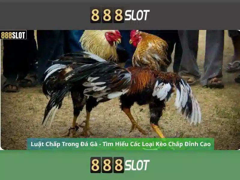 Cách Đăng Ký Telegram 888slot