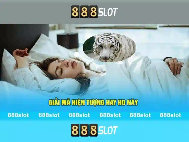Trải nghiệm cược slot đỉnh cao 888SLOT