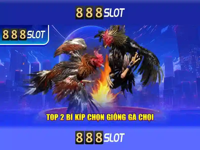 888SLOT – Trải Nghiệm Slot Rtp Tốt Nhất 2026