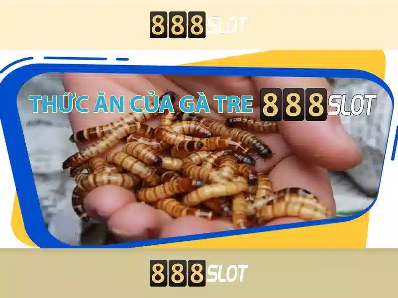 Đa dạng thể loại game tại 888SLOT