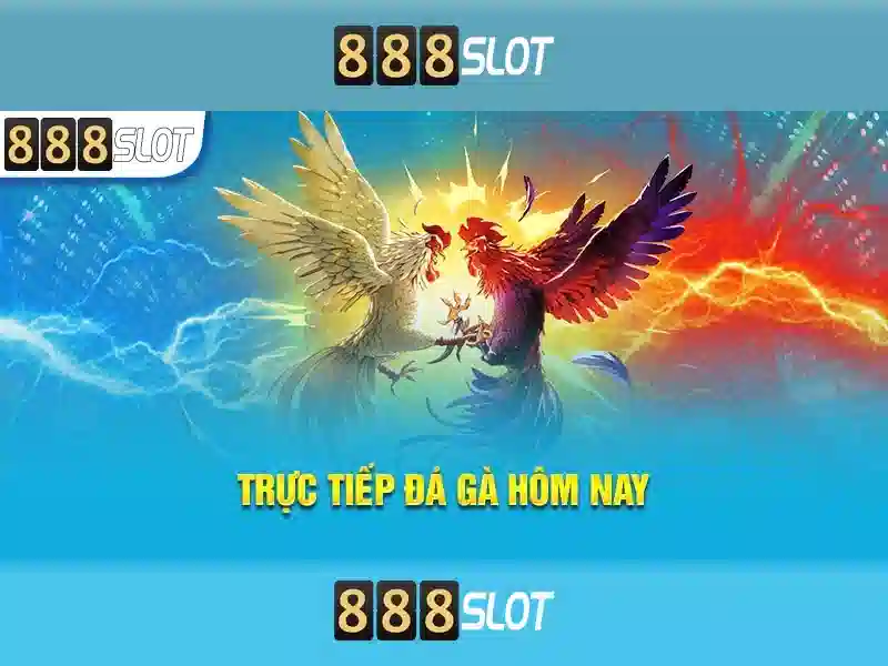 Quyền Riêng Tư 888SLOT – Bảo Mật Thông Tin Người Dùng Trong Ngành SLOT