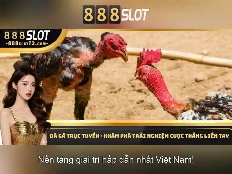 Lưu Ý Khi Đăng Nhập 888slot Com – Đảm Bảo Trải Nghiệm Tốt Nhất