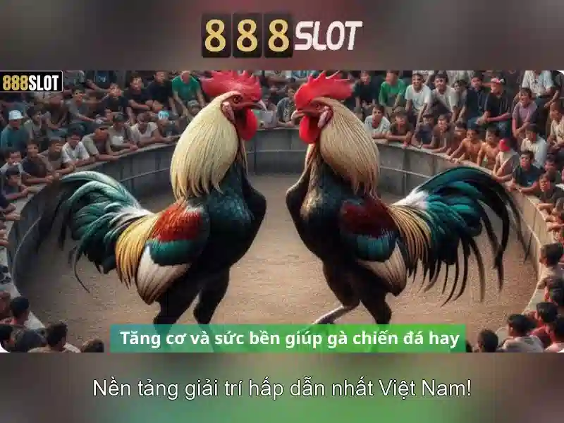 tải app 888 slot
