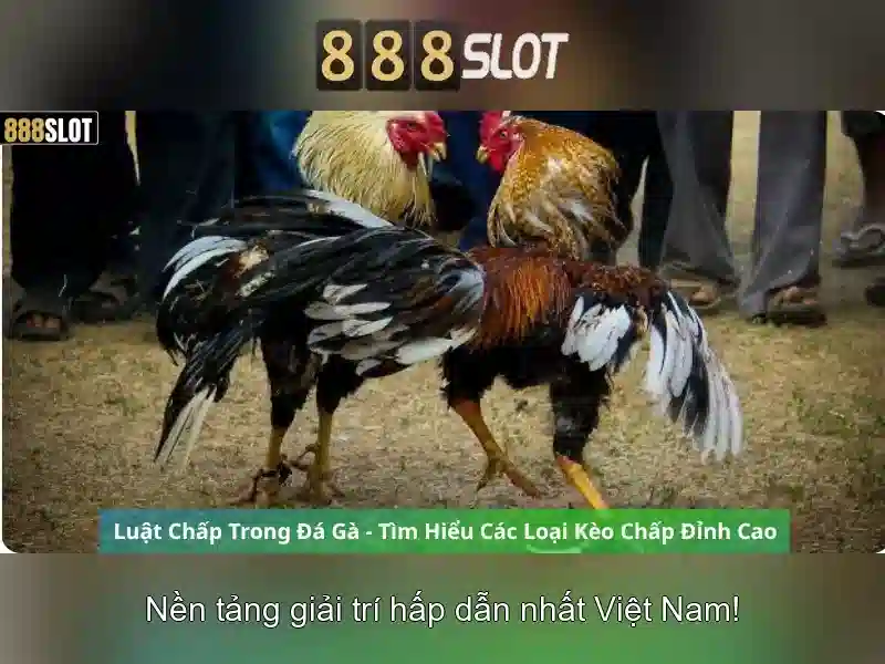 888SLOT – Trải Nghiệm Trò Chơi Slot Đỉnh Cao, Game 888 Slot Mới Nhất 2026