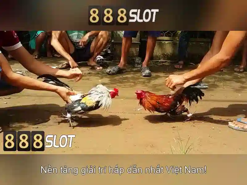 Mẹo Chơi Slot Tăng Tỷ Lệ Thắng