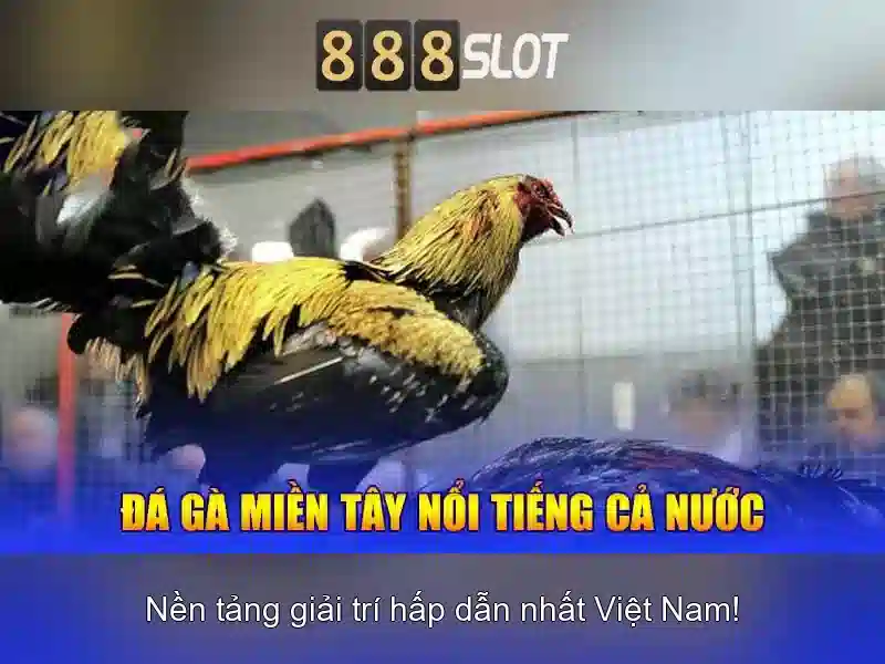Khuyến Mãi Đặc Biệt