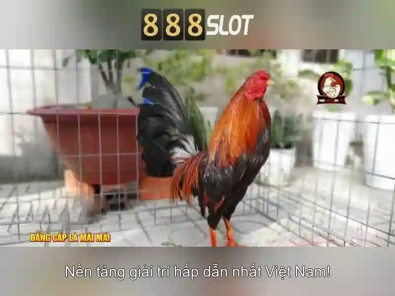 888SLOT Link thay thế 888slot link alternatif