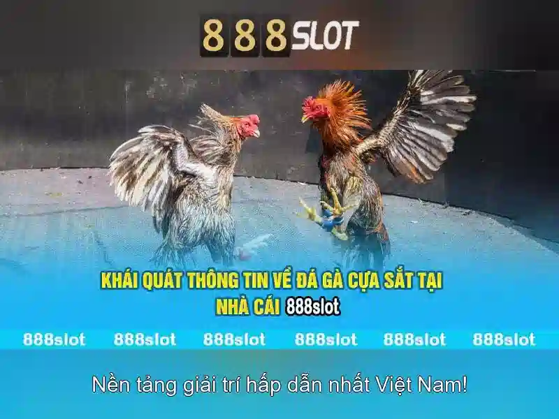 888SLOT Ưu Đãi Độc Quyền Cho Thành Viên