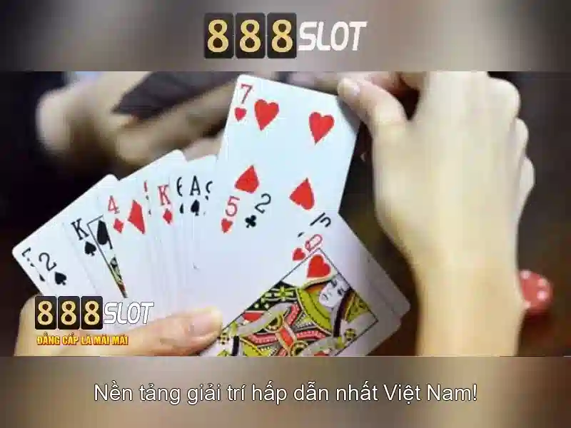 Đặc Điểm Nổi Bật