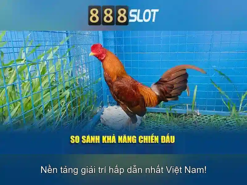 Trải nghiệm chơi Slot đỉnh cao