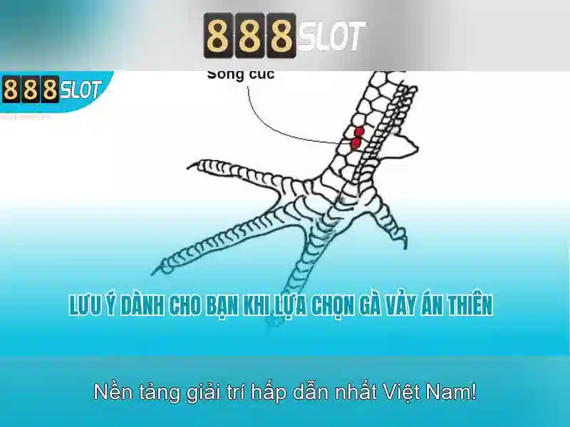 Dịch Vụ Thể Thao & Xổ Số
