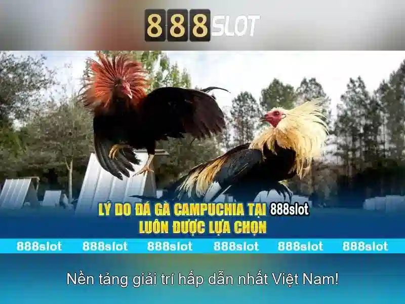 Giới Thiệu Về 888slot Web